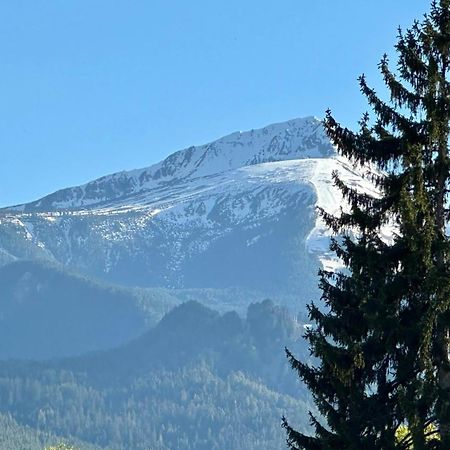Kaloyanova House Bansko Ξενοδοχείο Εξωτερικό φωτογραφία