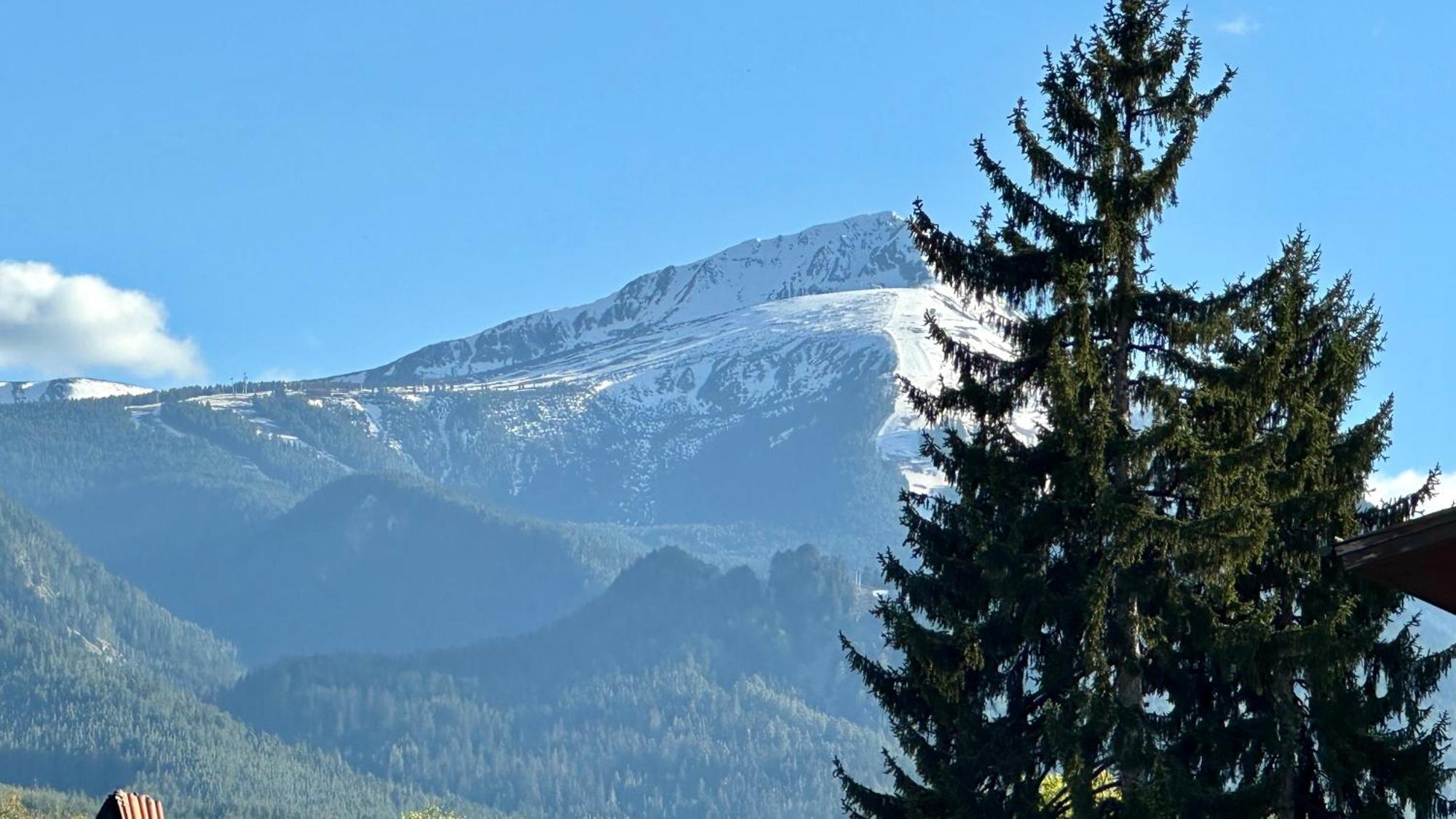 Kaloyanova House Bansko Ξενοδοχείο Εξωτερικό φωτογραφία